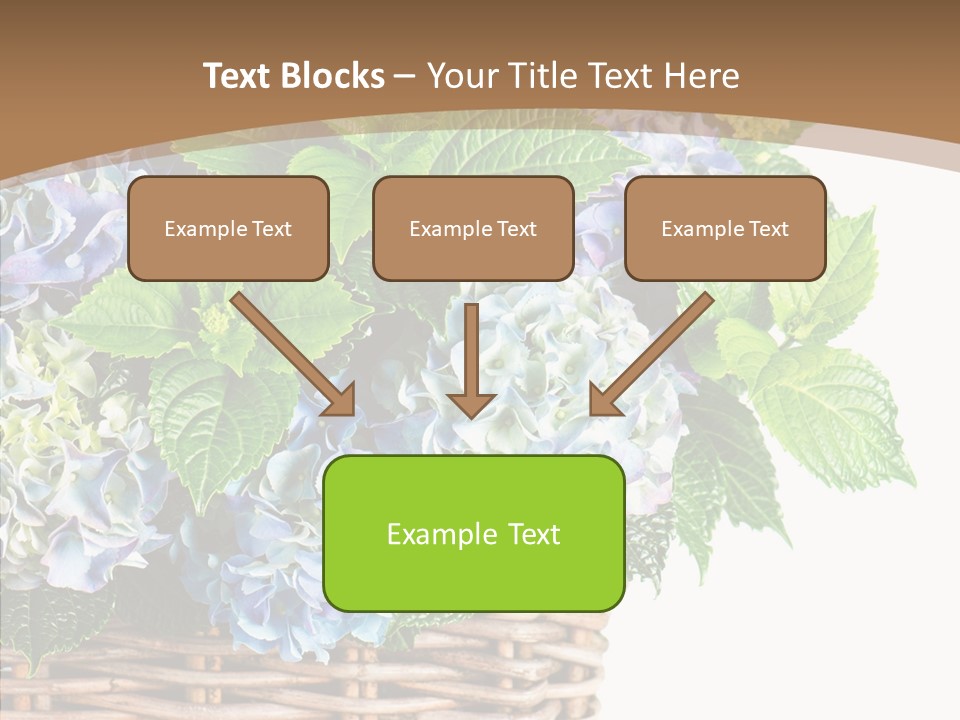 Decoration Studio Hortensia PowerPoint Template