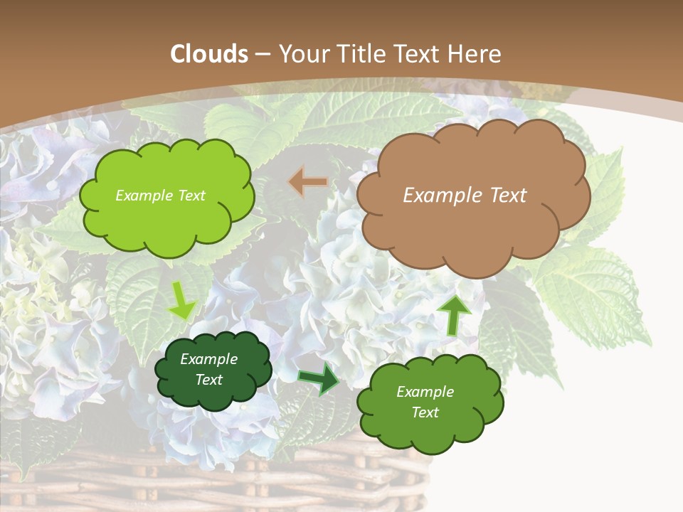 Decoration Studio Hortensia PowerPoint Template