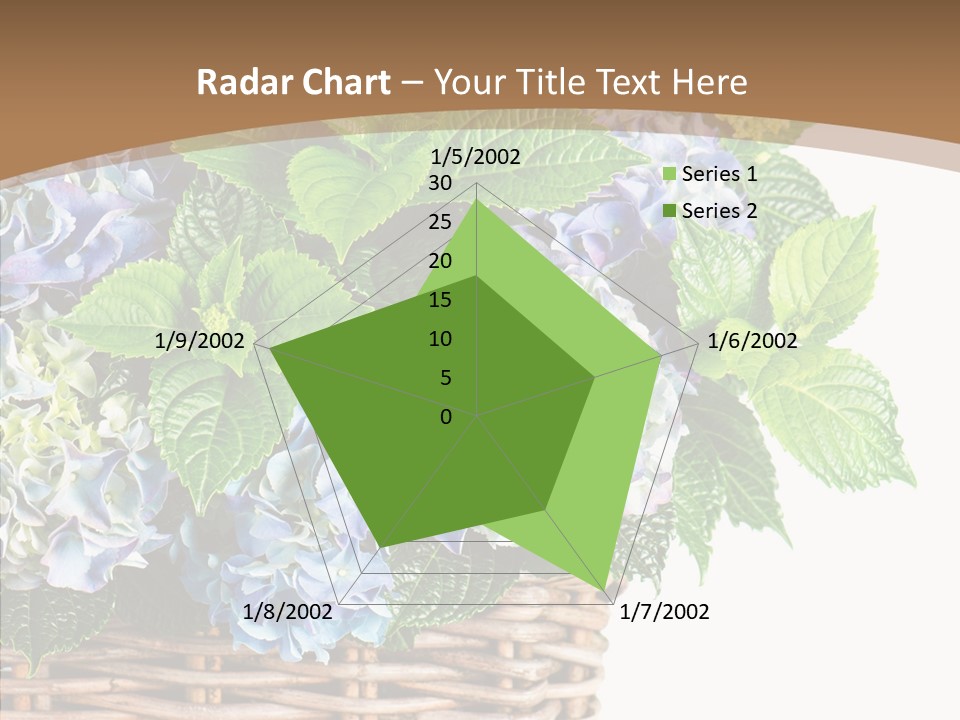 Decoration Studio Hortensia PowerPoint Template