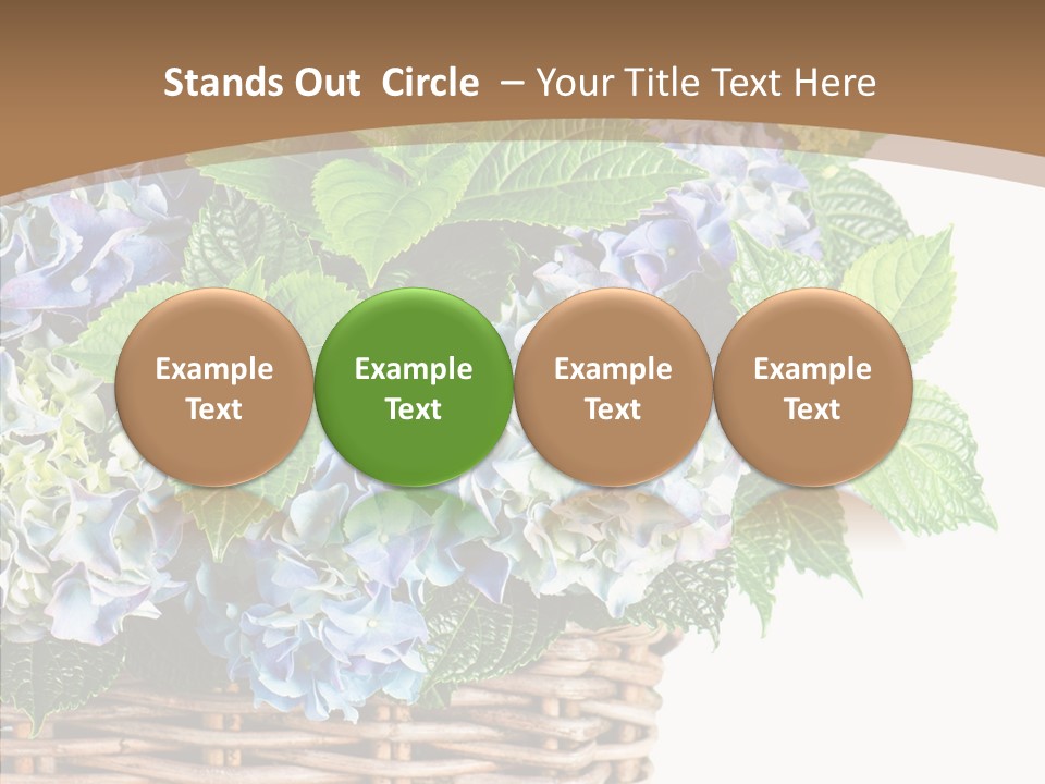 Decoration Studio Hortensia PowerPoint Template