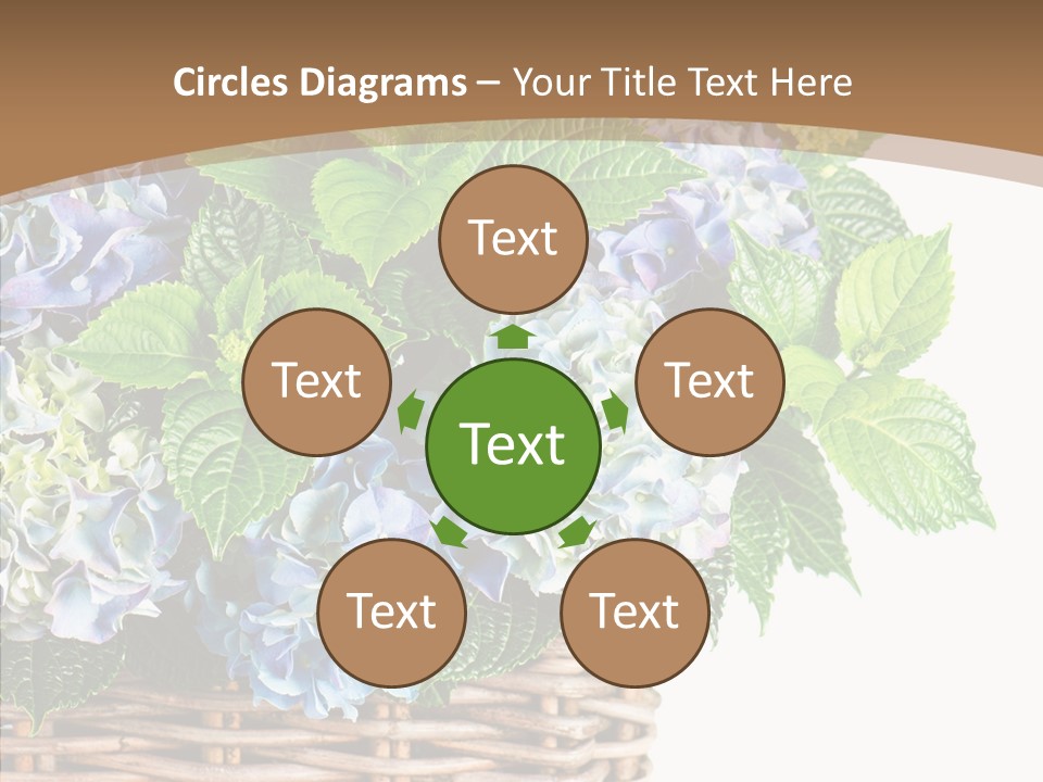 Decoration Studio Hortensia PowerPoint Template