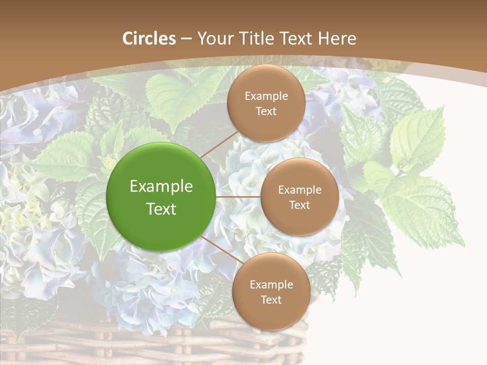 Decoration Studio Hortensia PowerPoint Template