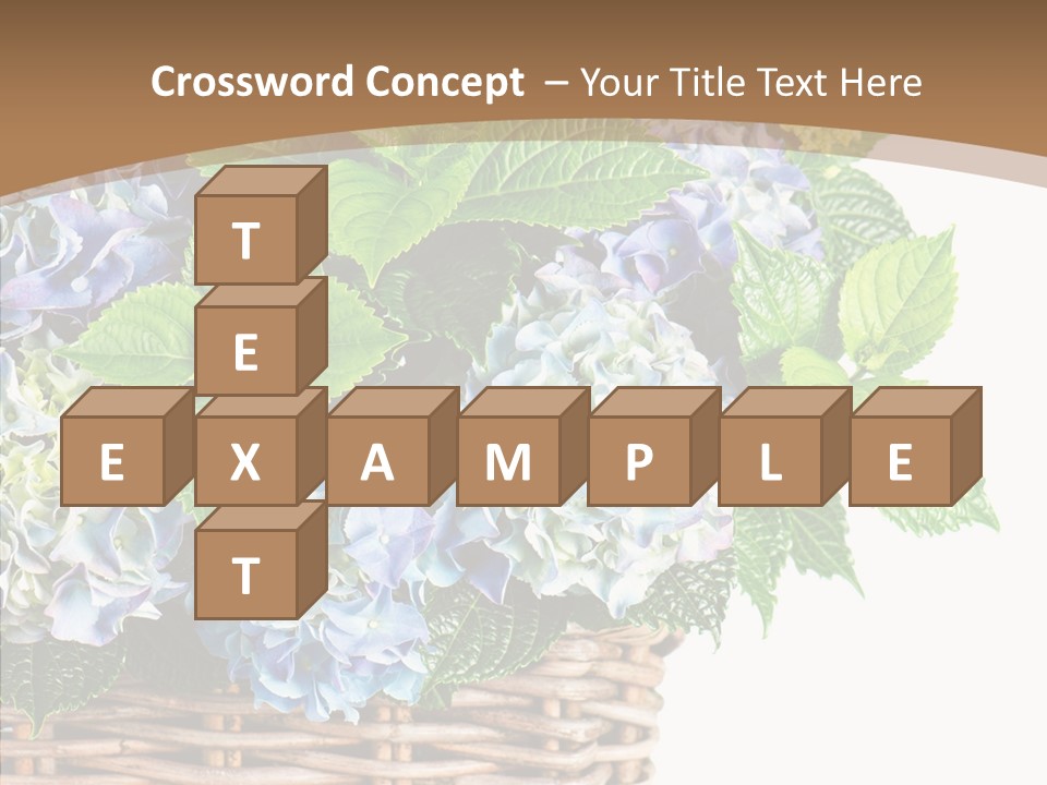 Decoration Studio Hortensia PowerPoint Template