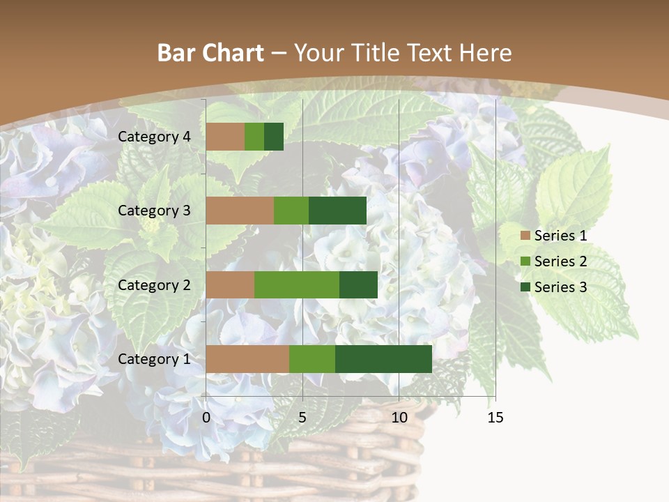 Decoration Studio Hortensia PowerPoint Template