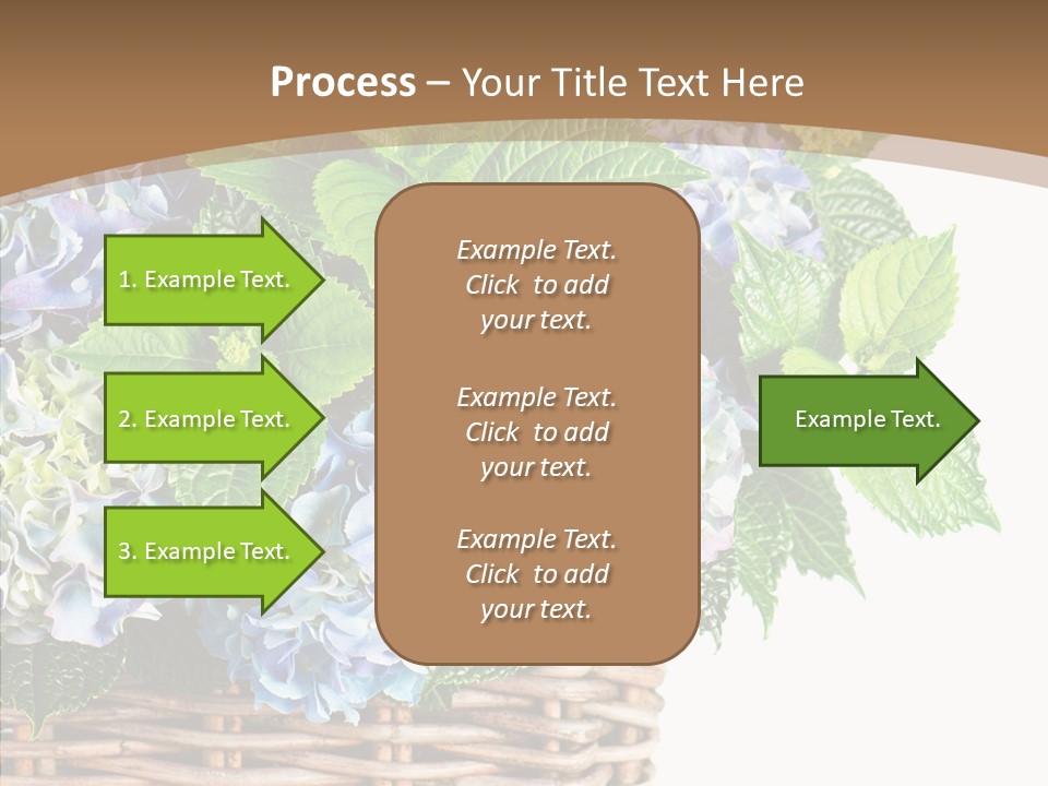 Decoration Studio Hortensia PowerPoint Template