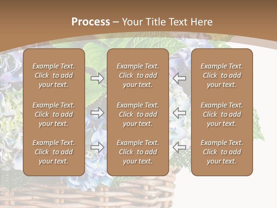 Decoration Studio Hortensia PowerPoint Template