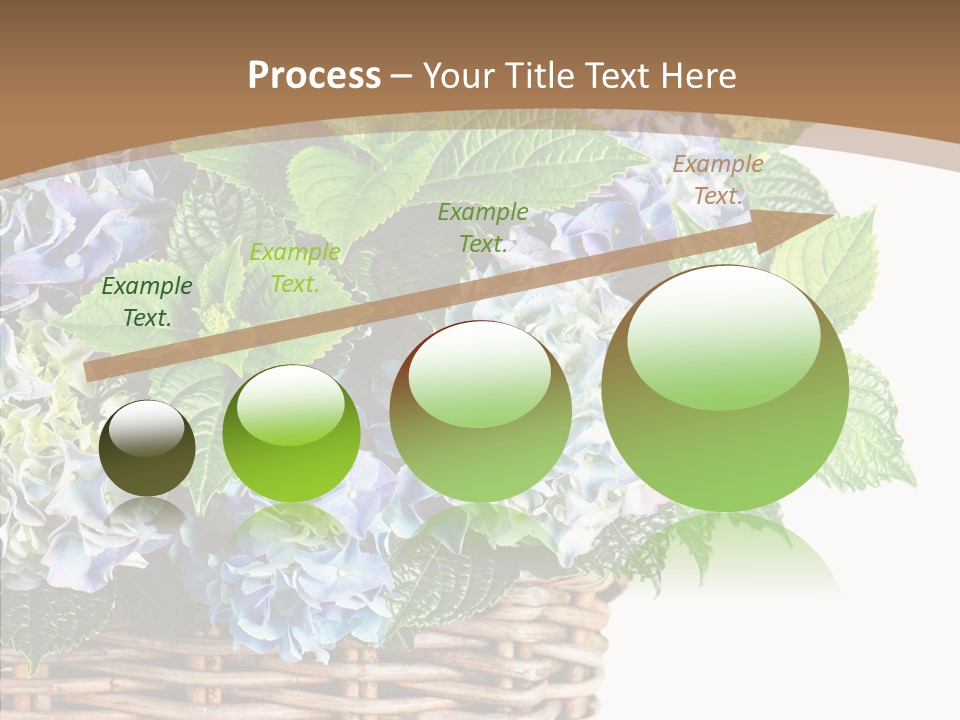 Decoration Studio Hortensia PowerPoint Template