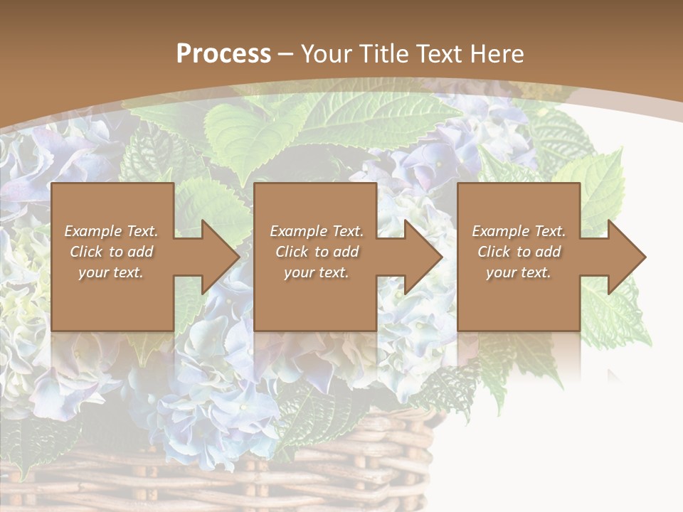 Decoration Studio Hortensia PowerPoint Template