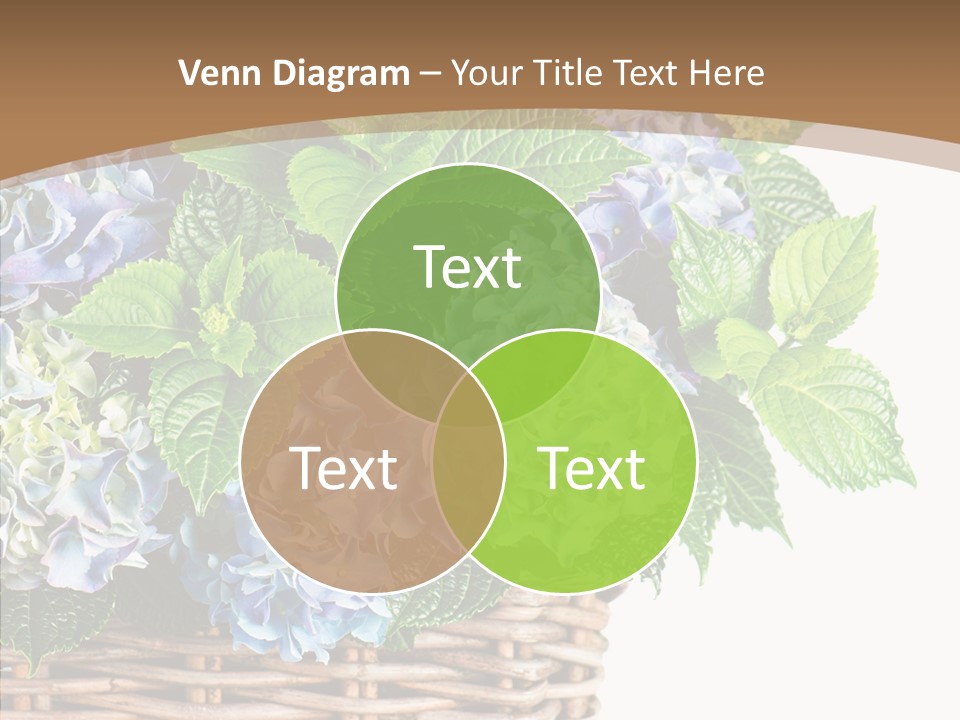 Decoration Studio Hortensia PowerPoint Template