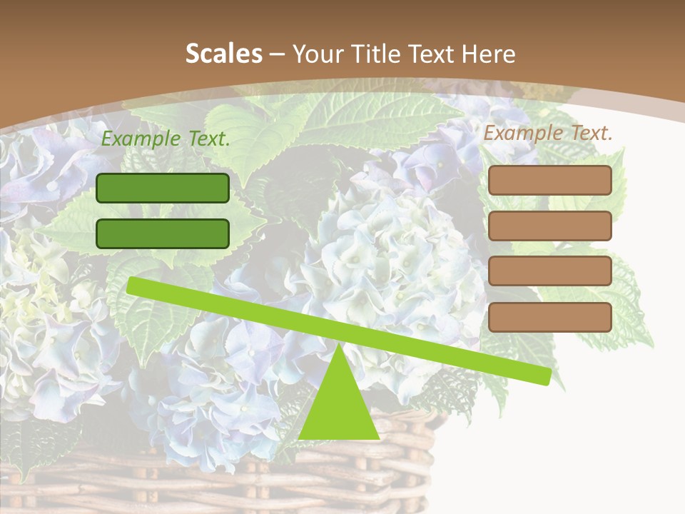 Decoration Studio Hortensia PowerPoint Template