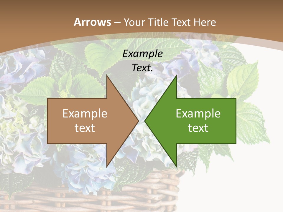 Decoration Studio Hortensia PowerPoint Template