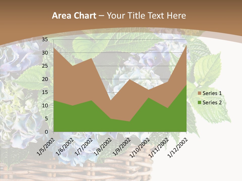 Decoration Studio Hortensia PowerPoint Template