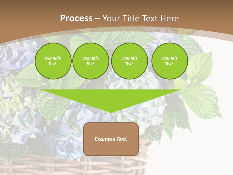 Decoration Studio Hortensia PowerPoint Template