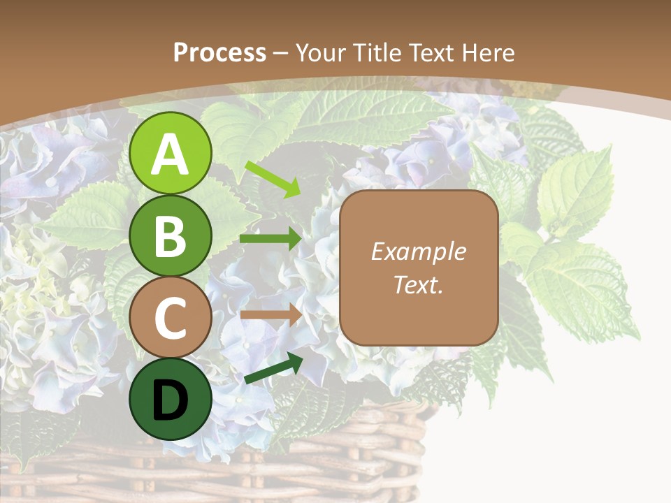 Decoration Studio Hortensia PowerPoint Template