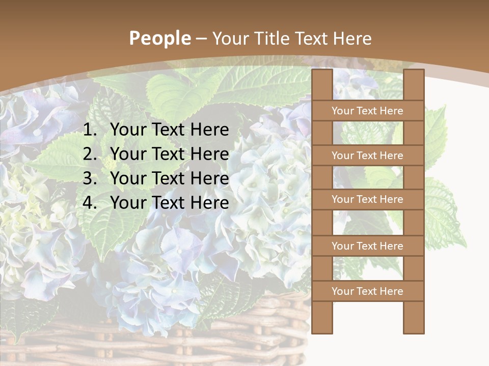 Decoration Studio Hortensia PowerPoint Template
