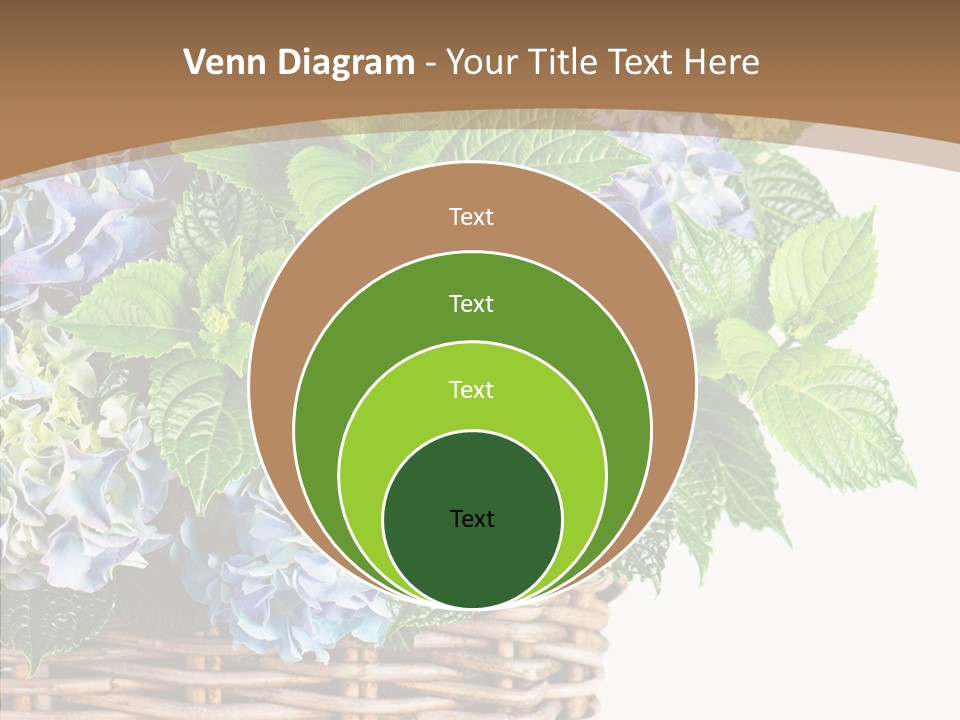 Decoration Studio Hortensia PowerPoint Template