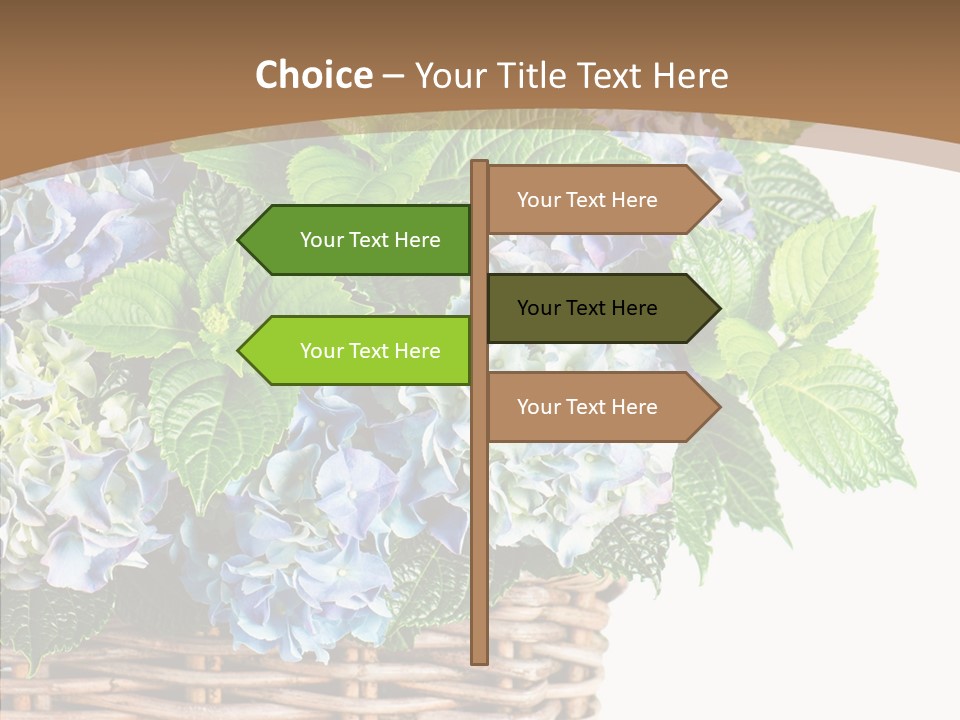 Decoration Studio Hortensia PowerPoint Template