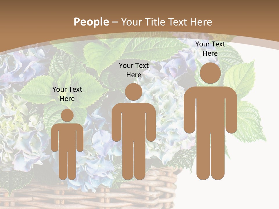 Decoration Studio Hortensia PowerPoint Template