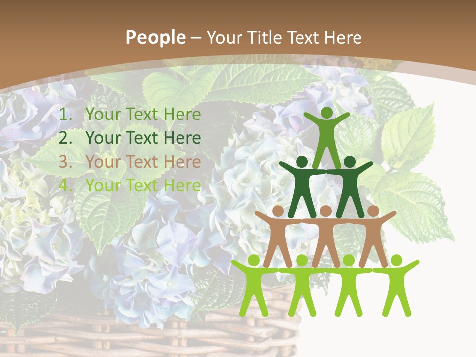 Decoration Studio Hortensia PowerPoint Template