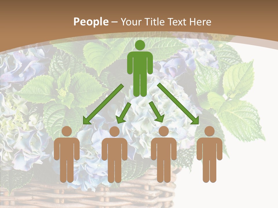 Decoration Studio Hortensia PowerPoint Template