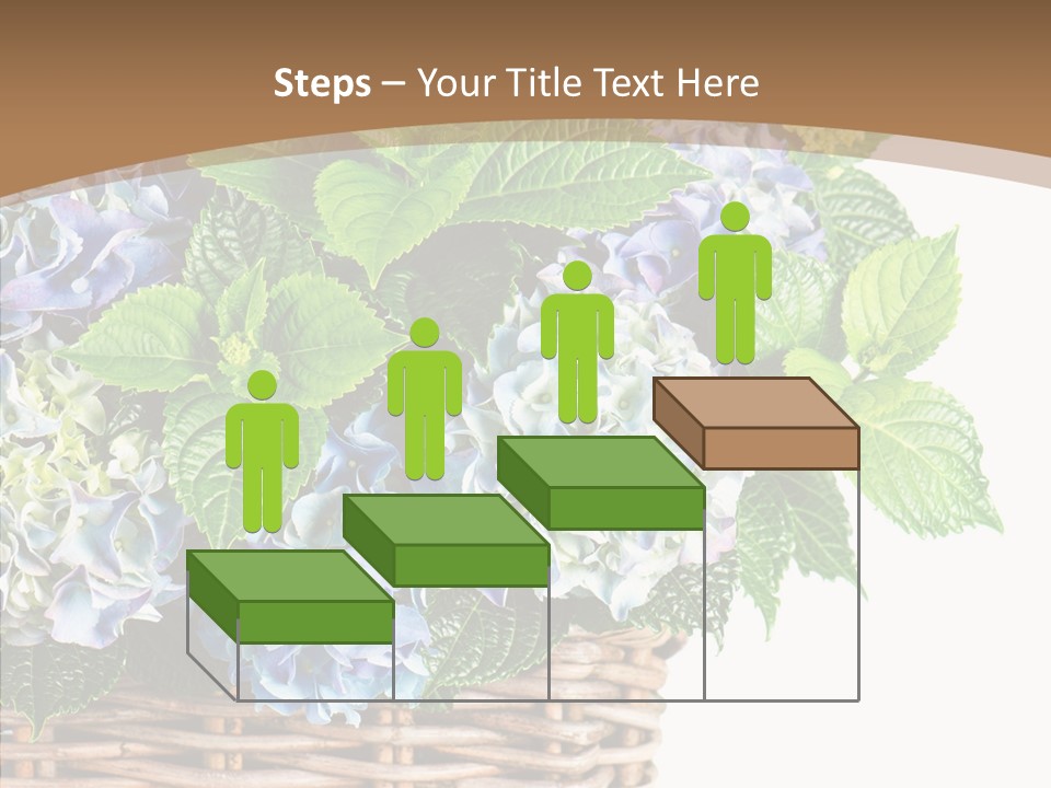 Decoration Studio Hortensia PowerPoint Template