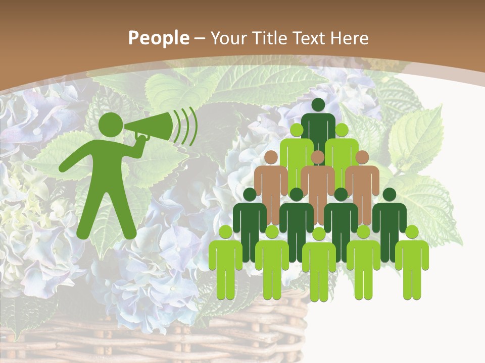 Decoration Studio Hortensia PowerPoint Template