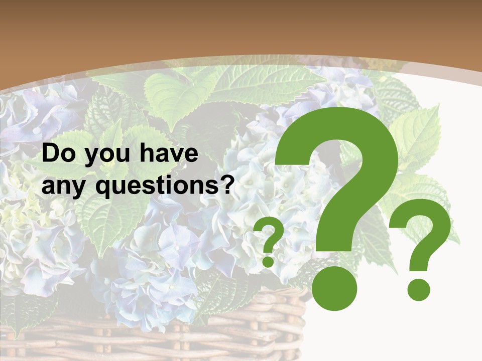 Decoration Studio Hortensia PowerPoint Template