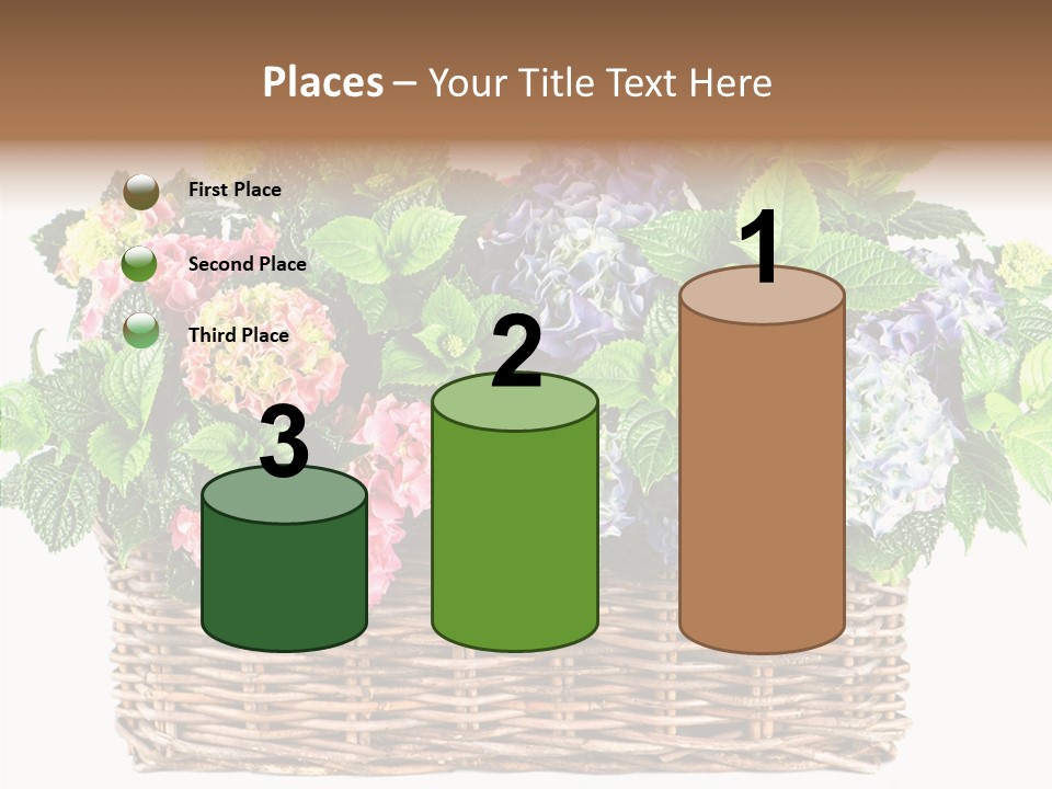 Botanical Decorative Balcony PowerPoint Template