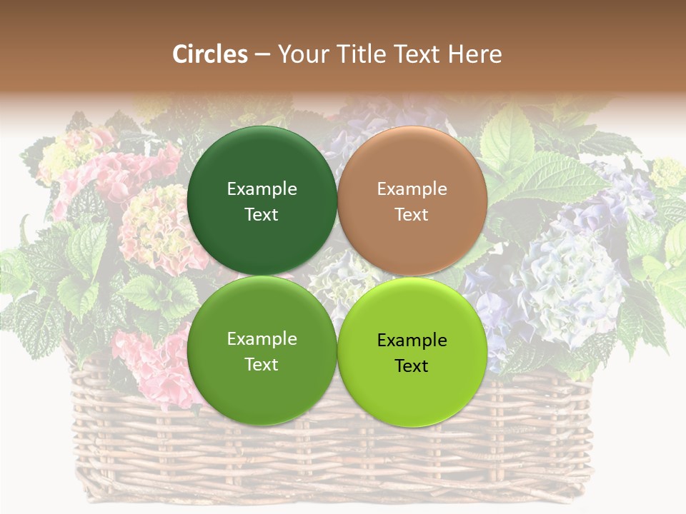 Botanical Decorative Balcony PowerPoint Template