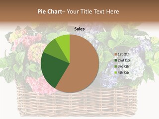 Botanical Decorative Balcony PowerPoint Template