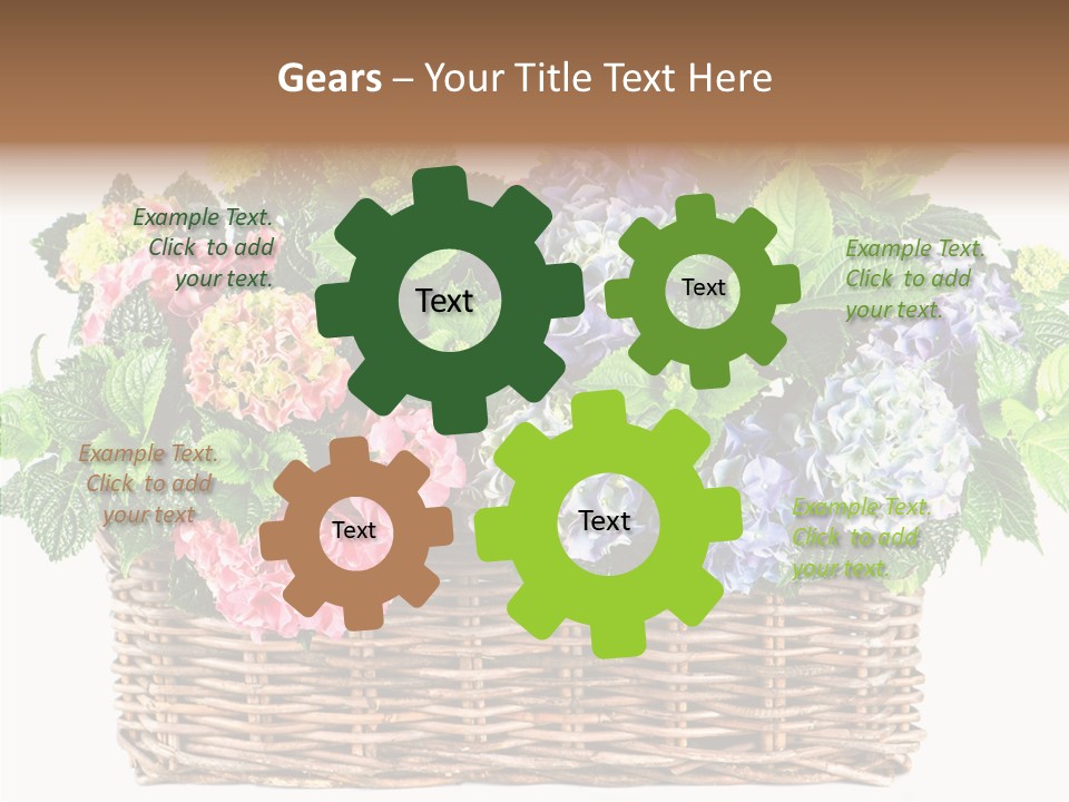 Botanical Decorative Balcony PowerPoint Template