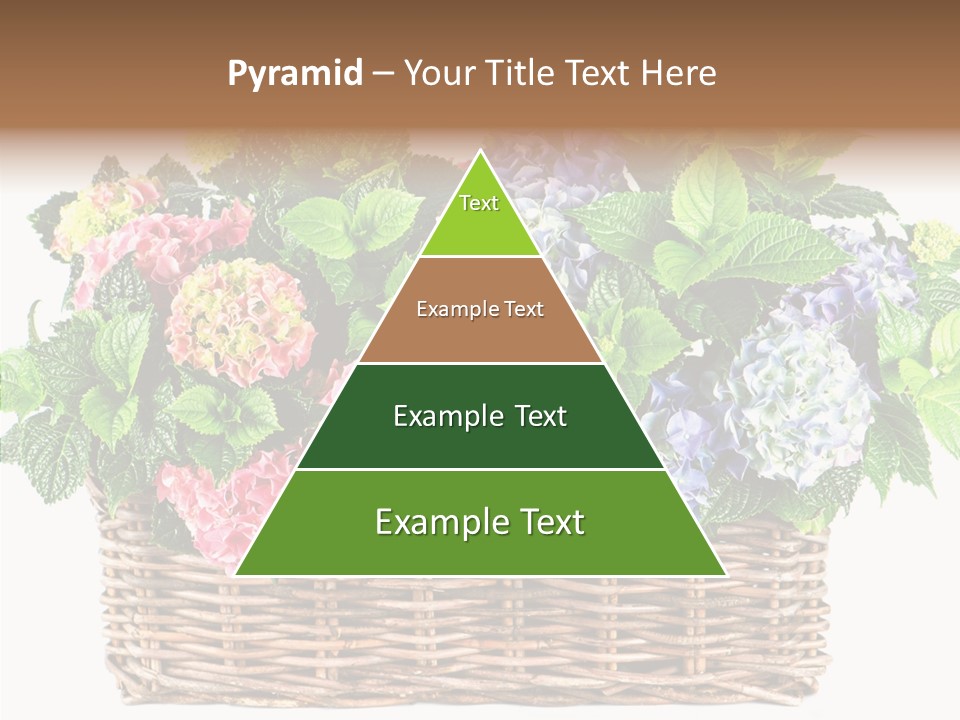 Botanical Decorative Balcony PowerPoint Template