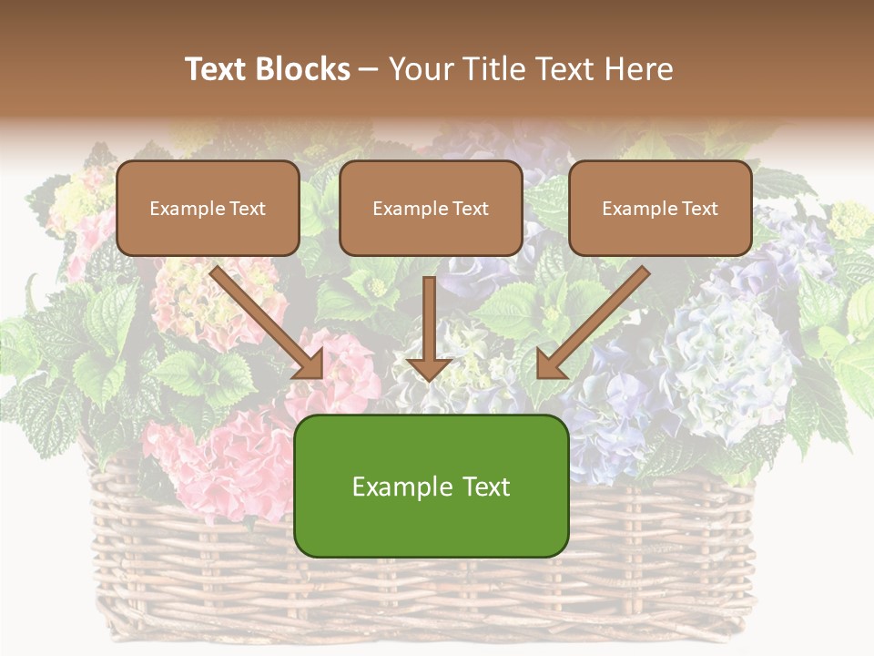 Botanical Decorative Balcony PowerPoint Template