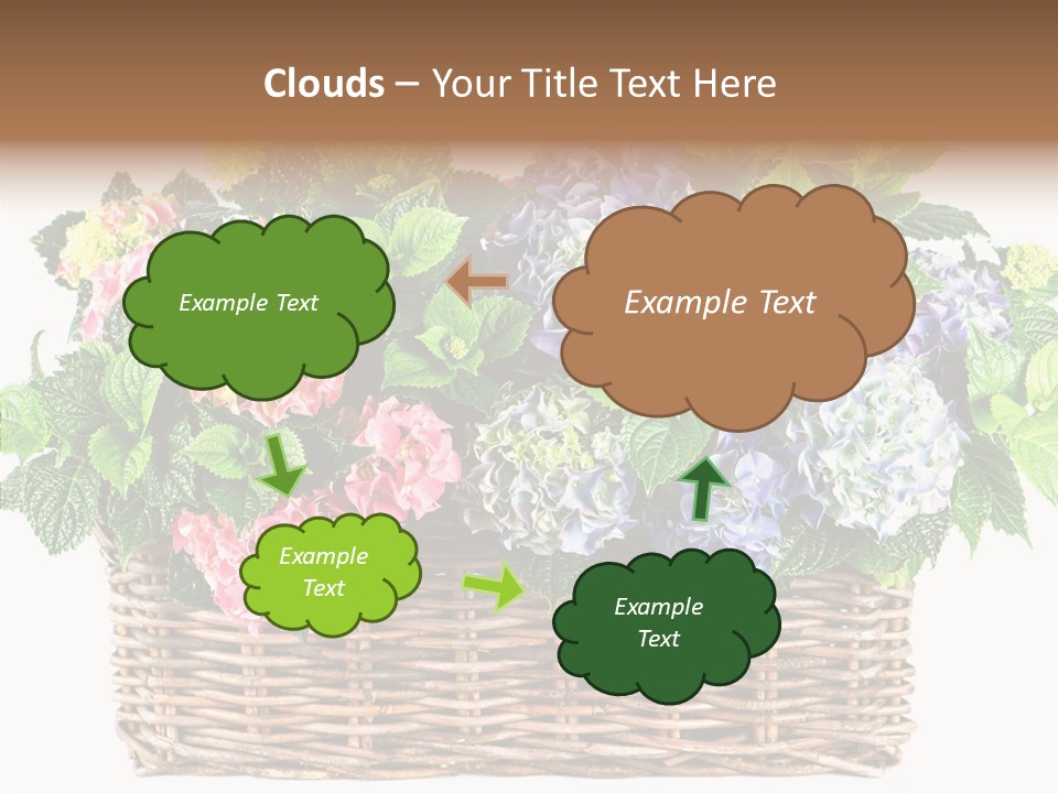Botanical Decorative Balcony PowerPoint Template