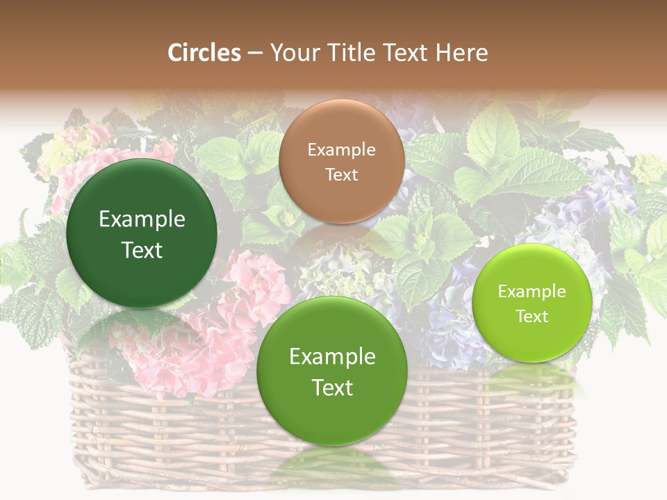 Botanical Decorative Balcony PowerPoint Template