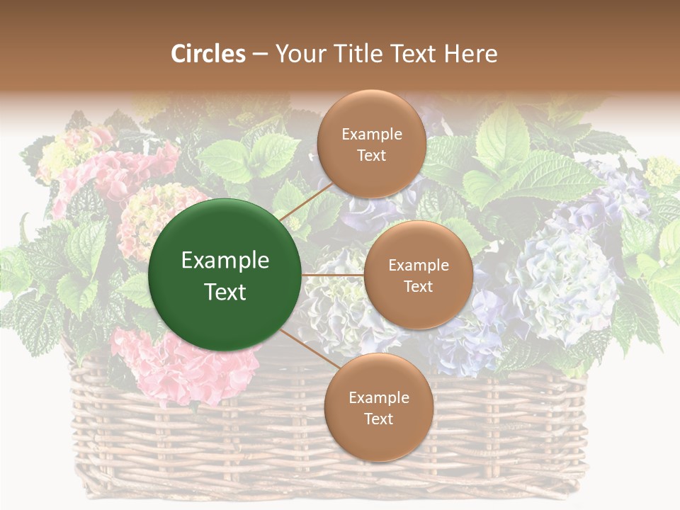 Botanical Decorative Balcony PowerPoint Template