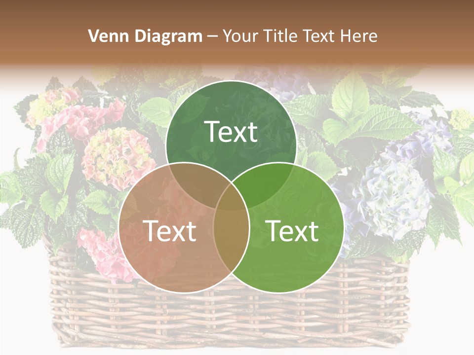 Botanical Decorative Balcony PowerPoint Template