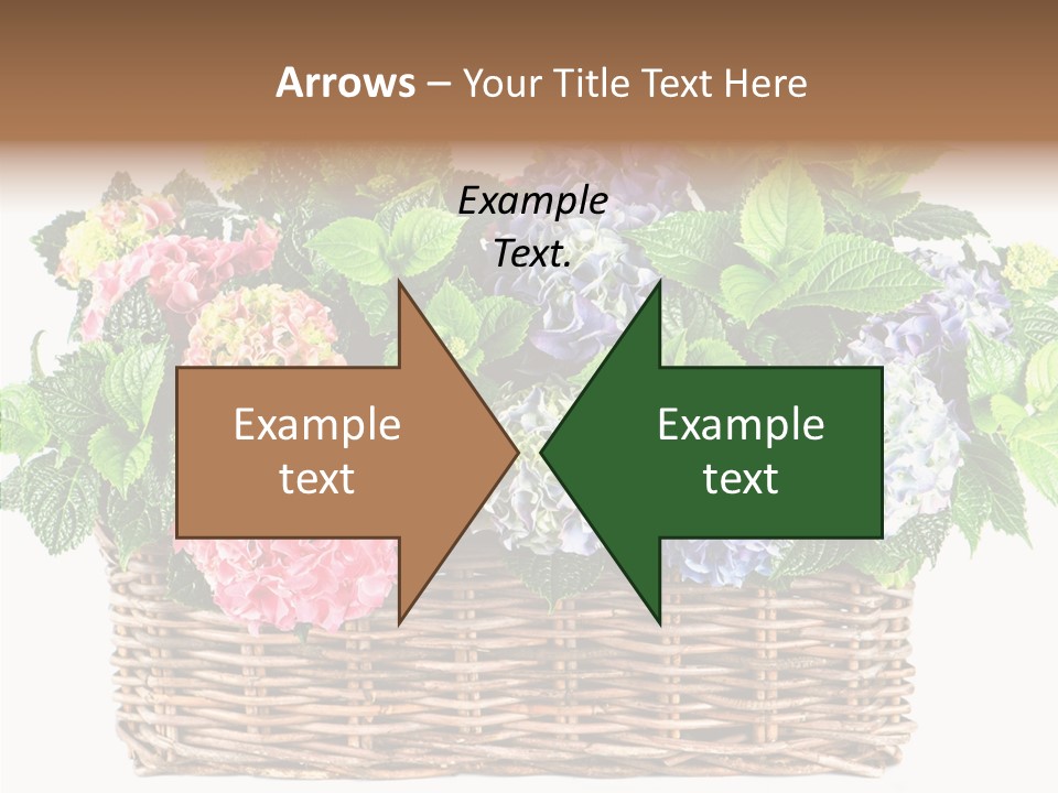 Botanical Decorative Balcony PowerPoint Template