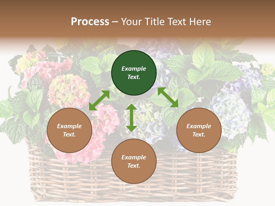 Botanical Decorative Balcony PowerPoint Template