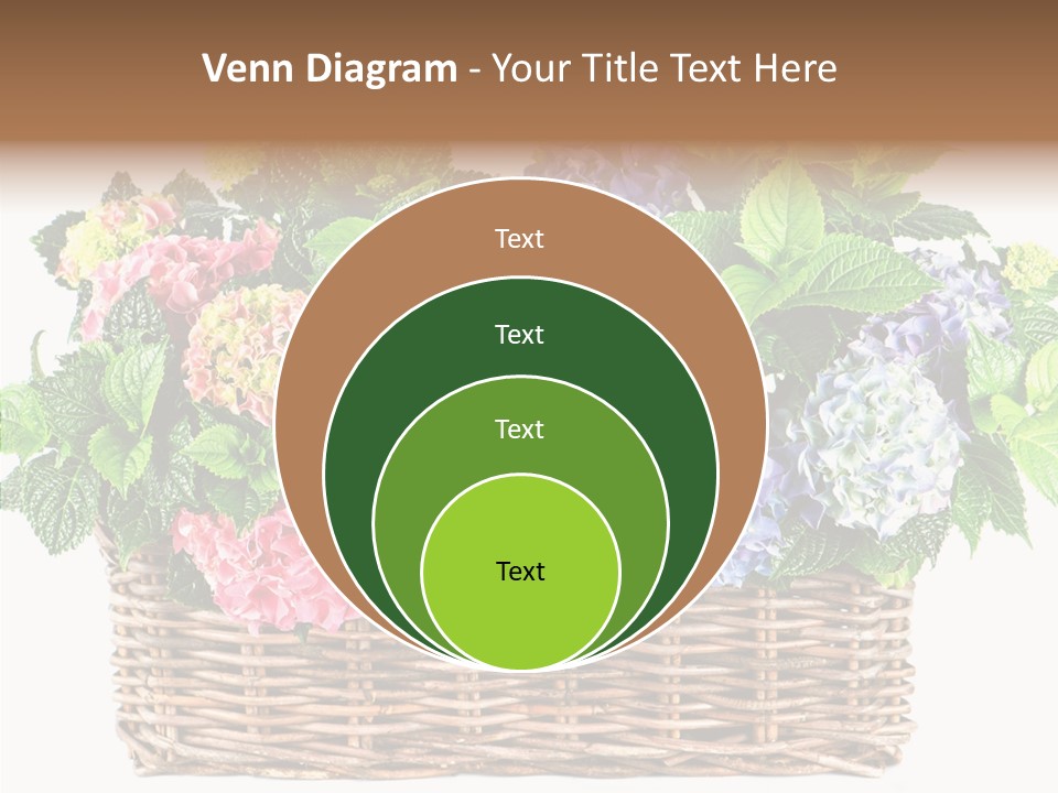 Botanical Decorative Balcony PowerPoint Template