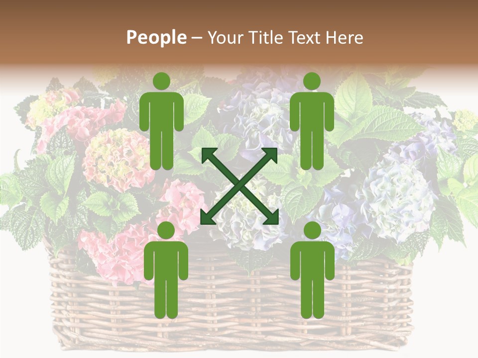 Botanical Decorative Balcony PowerPoint Template