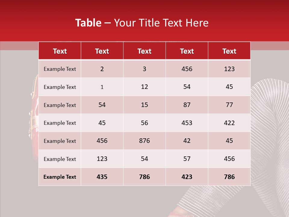 Fashion Lady Footwear PowerPoint Template