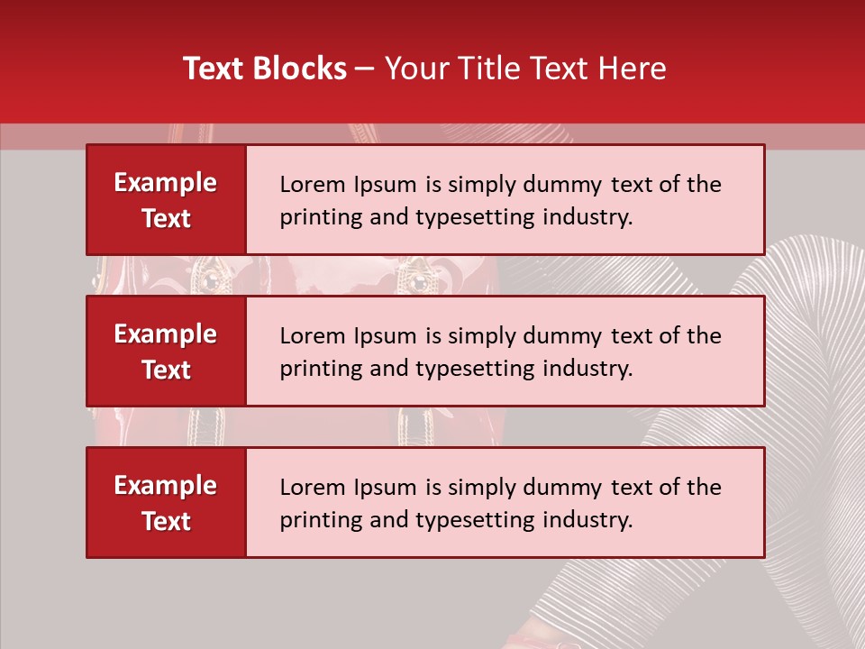 Fashion Lady Footwear PowerPoint Template