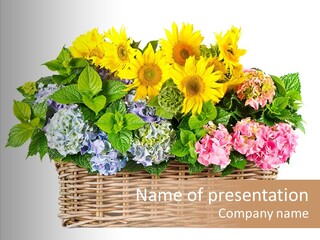 Plant Flora Bush PowerPoint Template