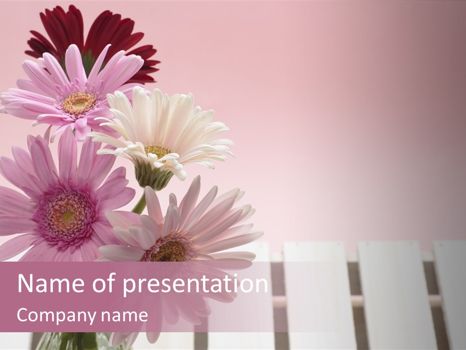 Gerber Floral White PowerPoint Template