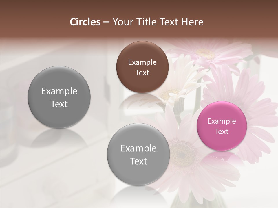 Arrangement Gerber White PowerPoint Template
