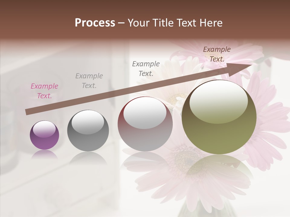 Arrangement Gerber White PowerPoint Template