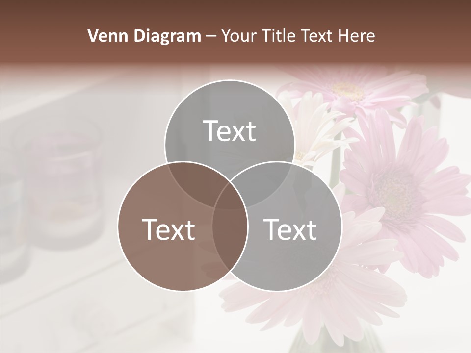 Arrangement Gerber White PowerPoint Template