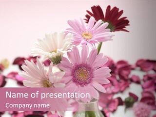 Bloom Glass Decorate PowerPoint Template