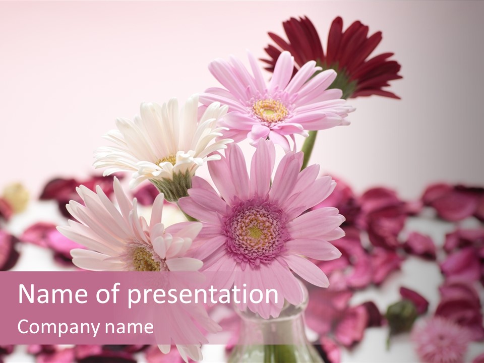 Bloom Glass Decorate PowerPoint Template